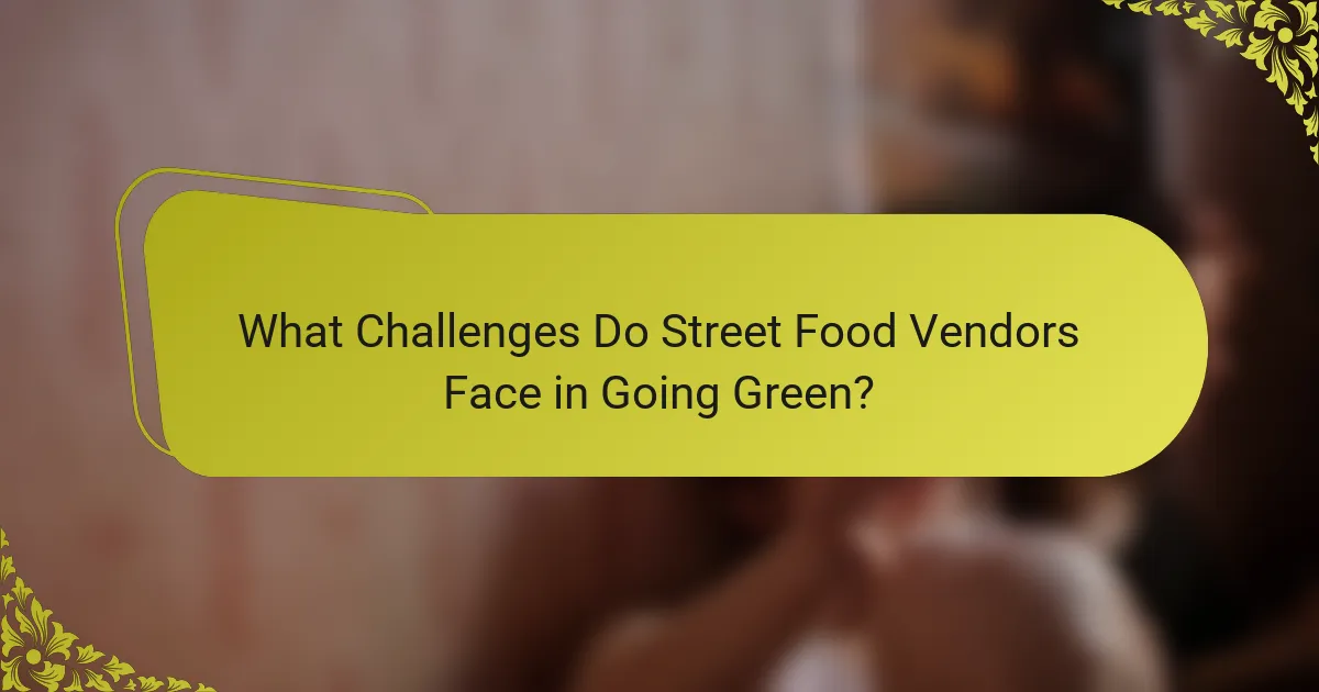 What Challenges Do Street Food Vendors Face in Going Green?